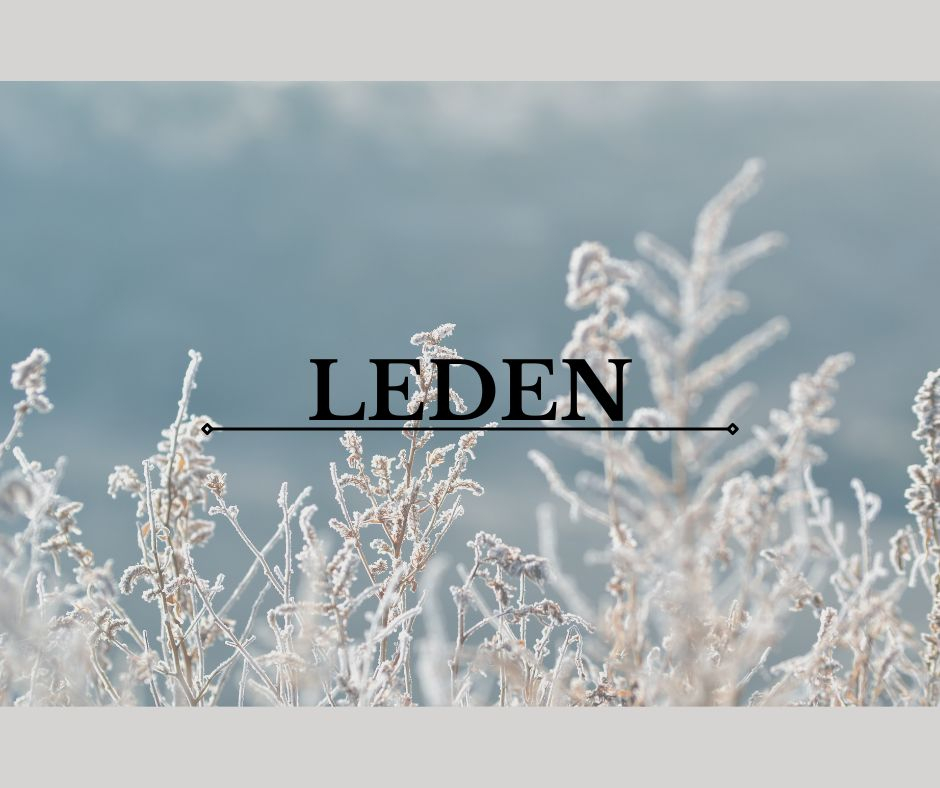 KALENDÁŘ AKCÍ NA MĚSÍC LEDEN