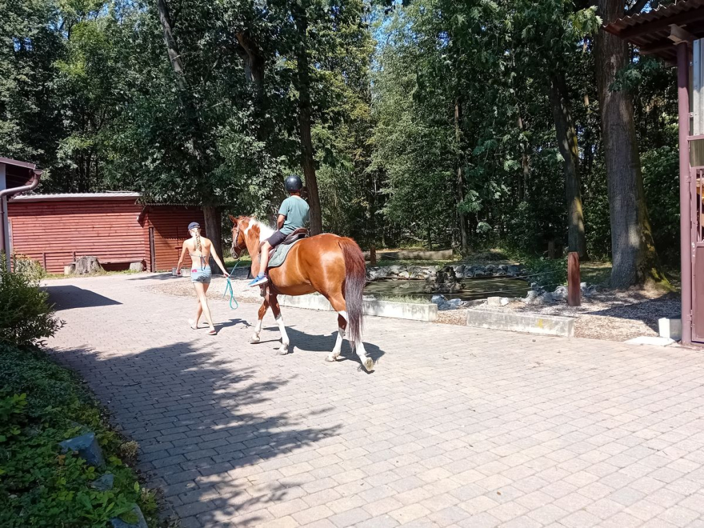 20260804_114928.jpg