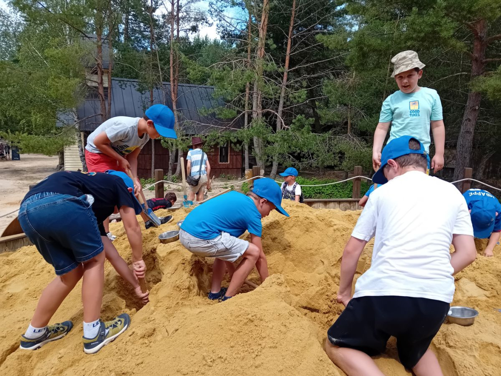 20260806_114057.jpg