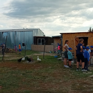 20250822_092741.jpg