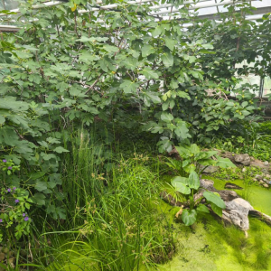 IMG_20250729_094824.jpg